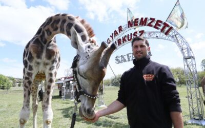 Nyit a Magyar Nemzeti Cirkusz ’Safari Parkja’!