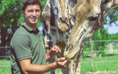 Nagykőrösön találta meg új helyét hazánk egyetlen autós szafariparkja
